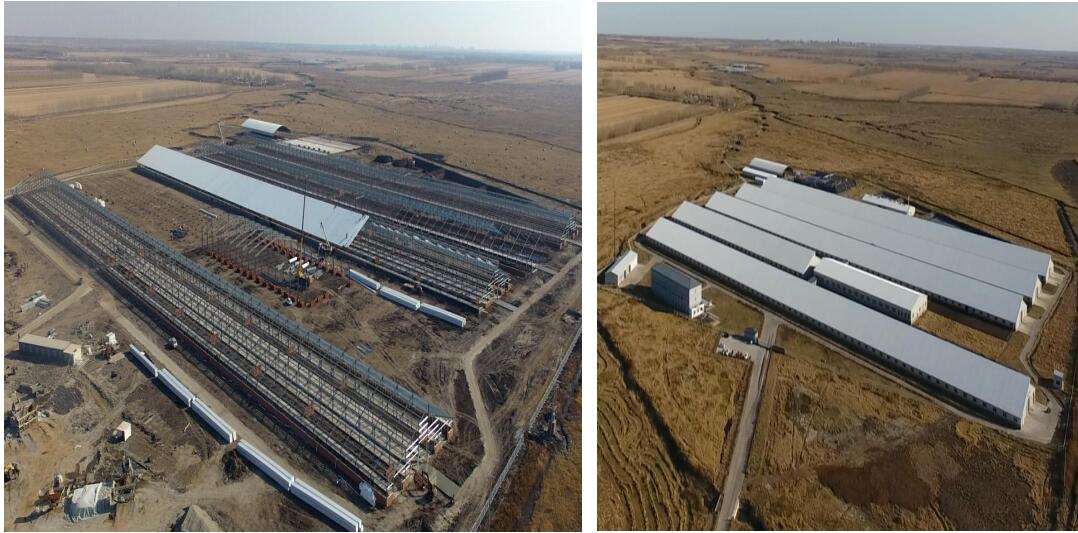 平博·pinnacle(中国集团)官方网站